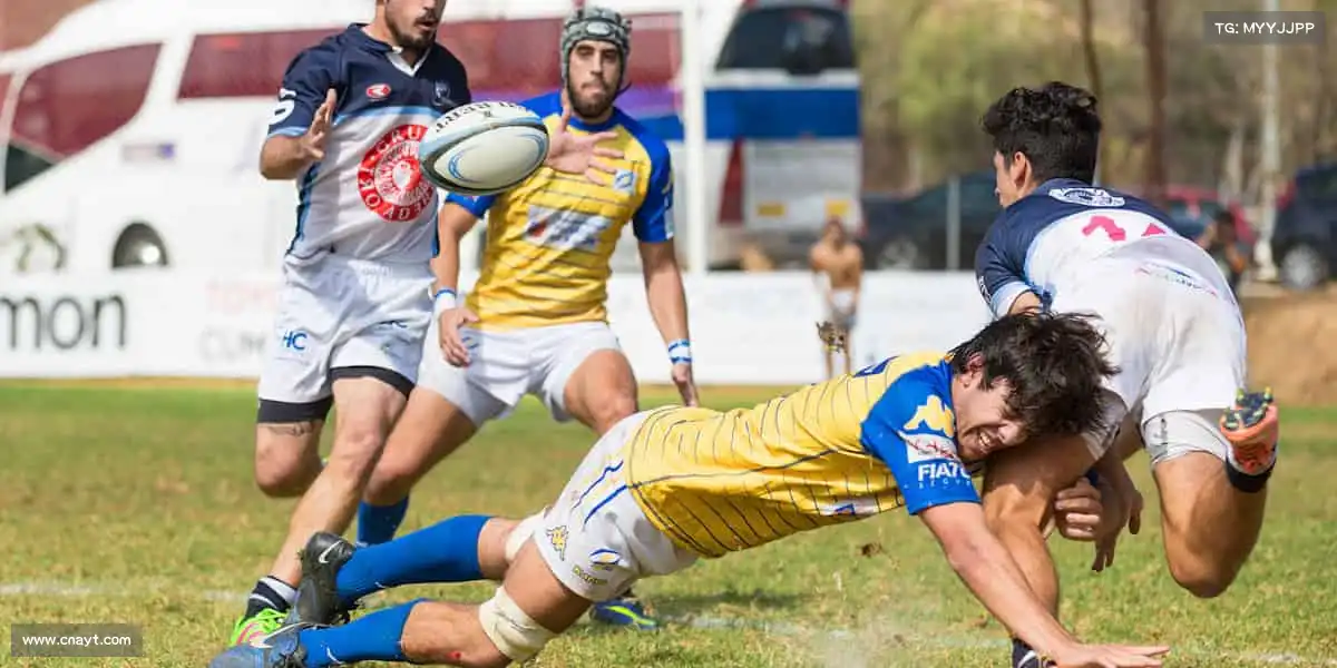 <strong>beats365</strong>🥊拳头紧握的是信念，脚步丈量的是热爱！体育，让你更强大！