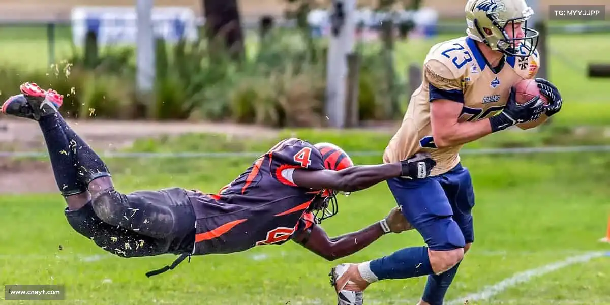 为什么选择我们